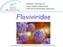 Disciplina: Virologia III Curso: Medicina Veterinária. Flaviviridae