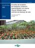 Enxertia de tomateiro em baquicha (Solanum stramonifolium var inerme (Dunal) Whalen) para controle de doenças de solo