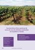 Características físico-químicas de sucos de uvas de vinhedos conduzidos em espaldeira e latada