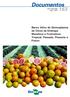 Empresa Brasileira de Pesquisa Agropecuária. Embrapa Mandioca e Fruticultura Tropical. Documentos 163