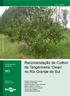 Recomendação de Cultivo da Tangerineira Owari no Rio Grande do Sul COMUNICADO TÉCNICO