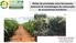 Efeitos de prioridade como ferramenta potencial de metodologias de restauração de ecossistemas brasileiros