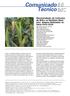 Recomendação de Cultivares de Milho no Nordeste Brasileiro: Ensaios Realizados na Safra