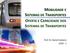 MOBILIDADE E SISTEMAS DE TRANSPORTES OFERTA E CAPACIDADE DOS. Prof. Dr. Daniel Caetano